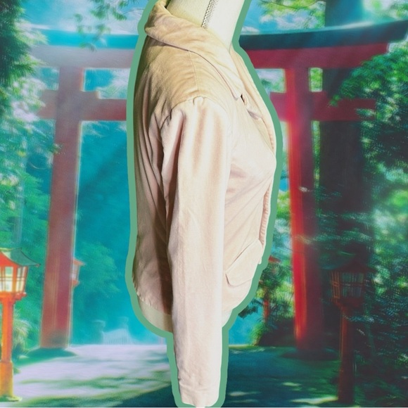 Ralph Lauren Vintage 90’s Tartan Label Pink Velvet Covered Button Blazer Size S - Picture 11 of 13